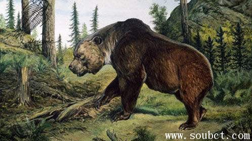 ������������ ���Ͷ��������֮��