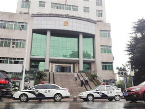 ʮ�����ں���������� ���徭��������Ҫԭ��