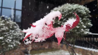 ��������ϲ�� ���Ǵ󼪴��������������˼