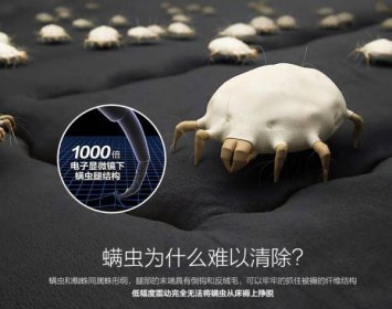 ����������3�ֶ��� ������ʲôΣ��Ϊʲô�᳤������