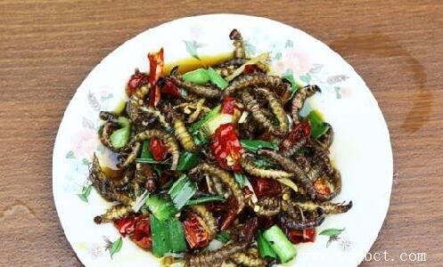 海蜈蚣吃法有讲究 这么做最好吃