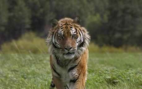 צ�ۻ��Կ�Ī����� ������צ�ۻ���ǰ���ǲ���һ��