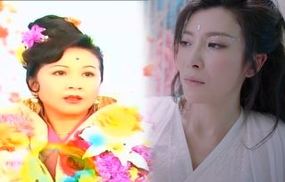 �������ɼҵ��˽��� �ɼ�������������