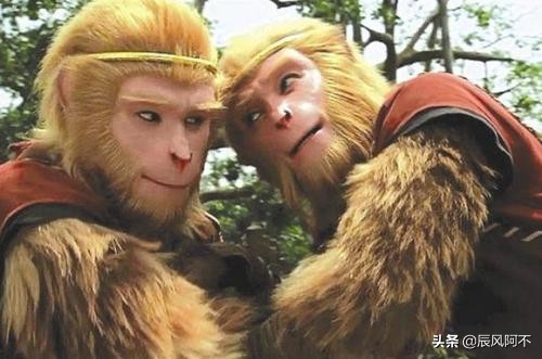 ���������������������� ����������������ĵ�����