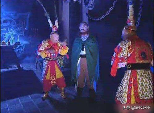 ���������������������� ����������������ĵ�����