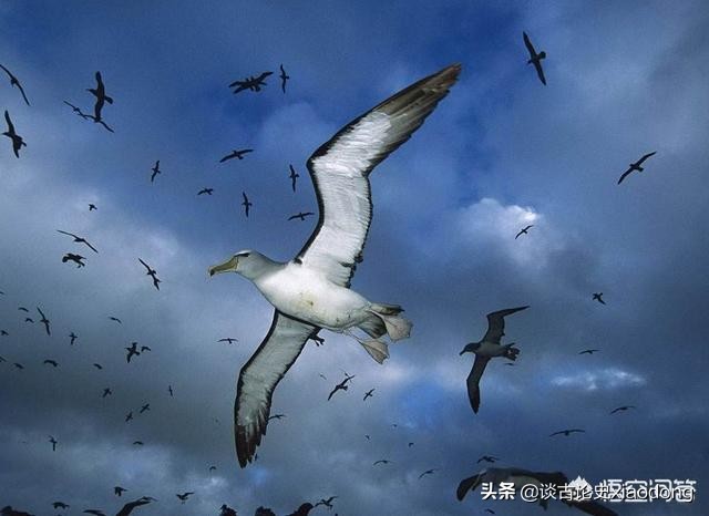 ��馻��3000��Ů���� �����������й���ʷ��