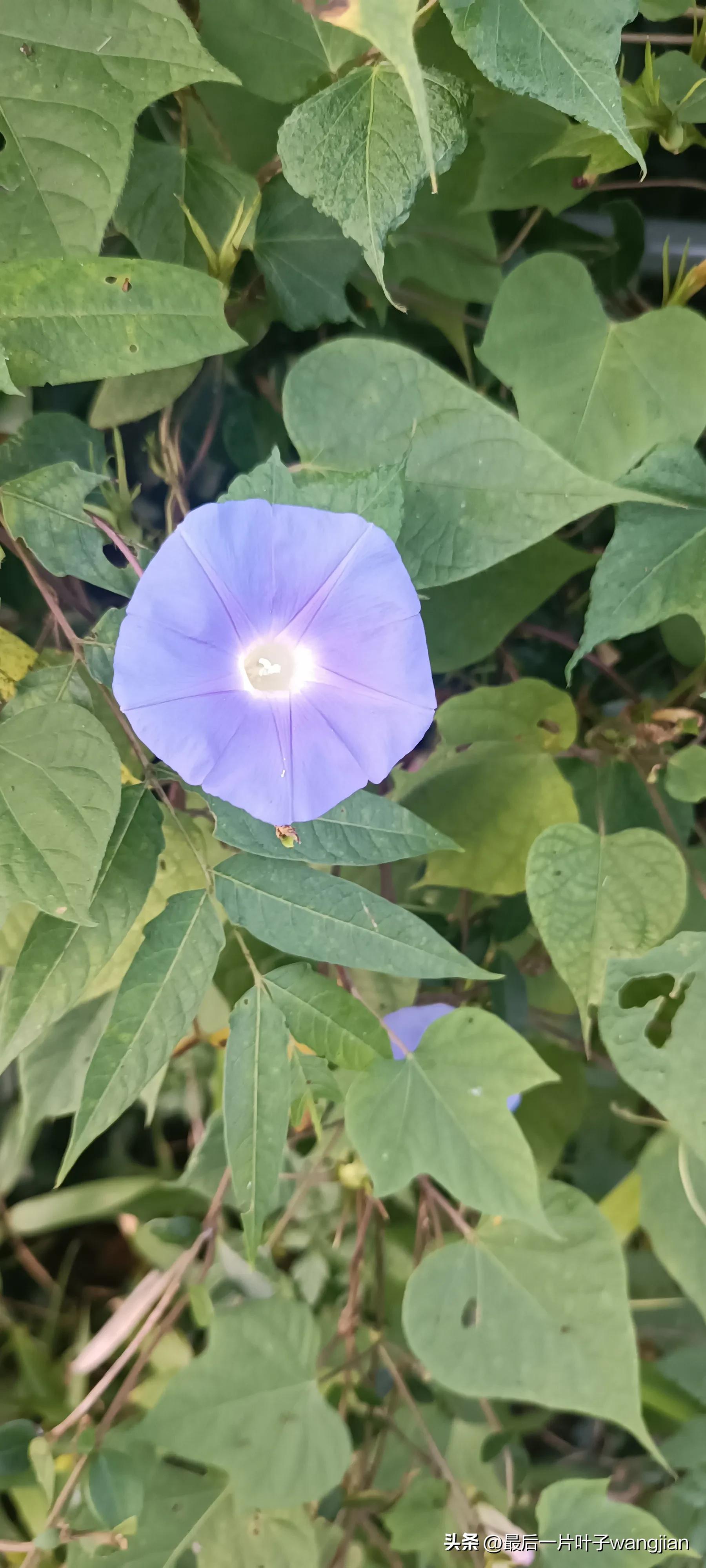 ���׷�����¼����� �������׷������Ҳ��ɾ����