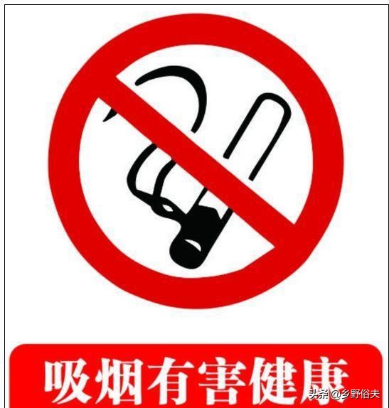 烟灰缸里永远别放水啥意思 烟屁股真香定律资深烟民们都知道
