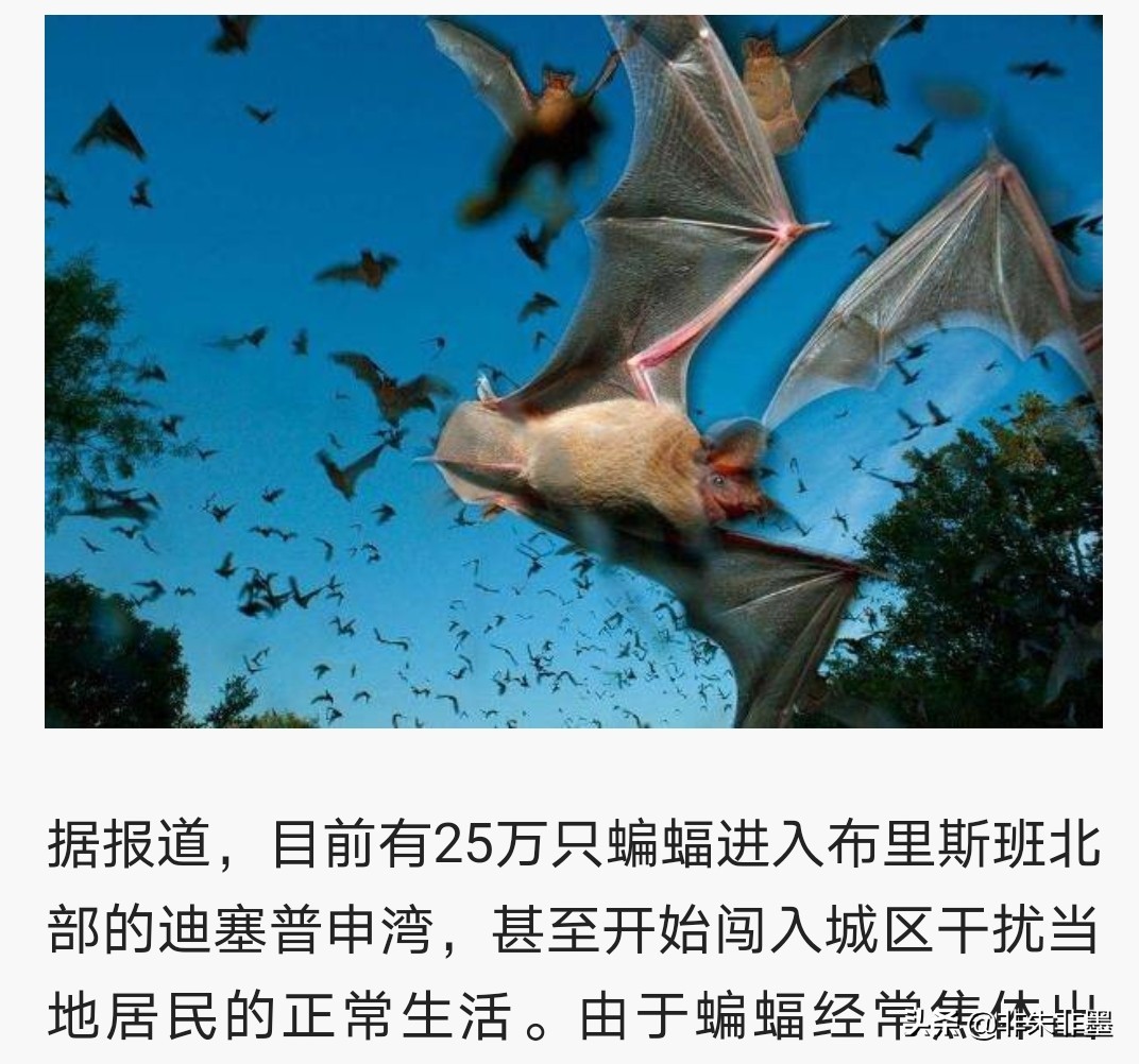 �����ʱ�ܳ��׽��� �������᲻�ᷴ����������ȷ��