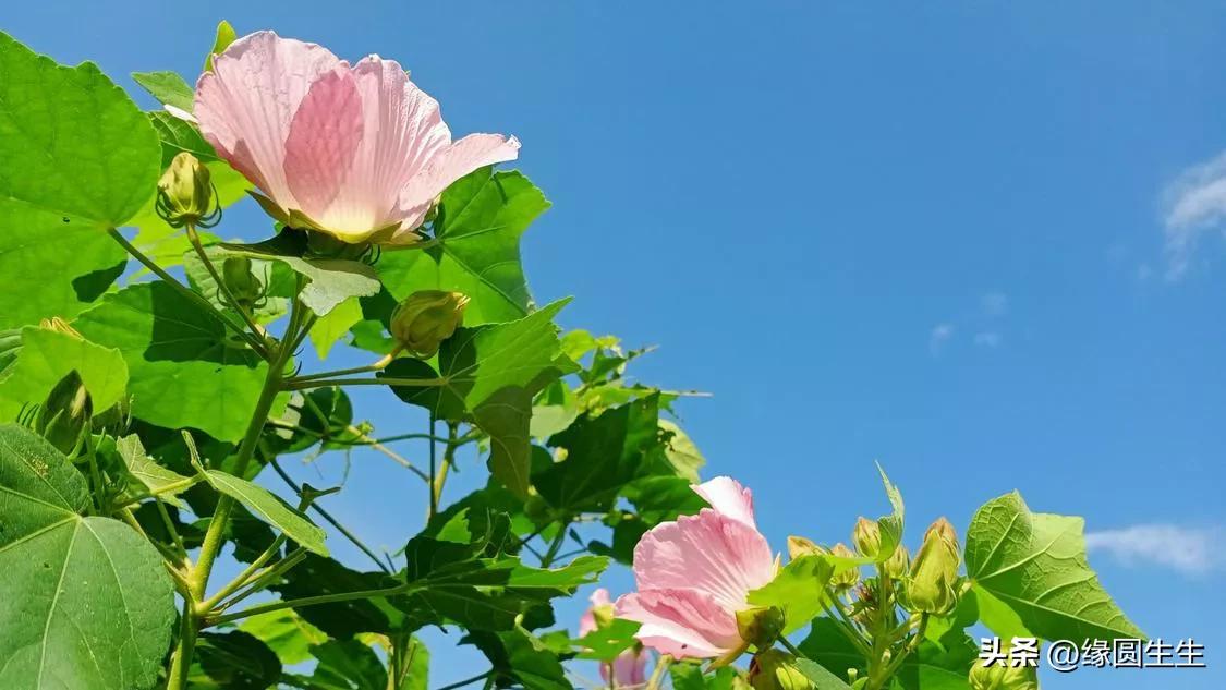 �¹��������֢�ж���� ��¥������˶���Щ��������