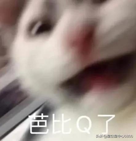 �ű�q����ʲô��˼ �����ű�qָ�����ˡ�����˼