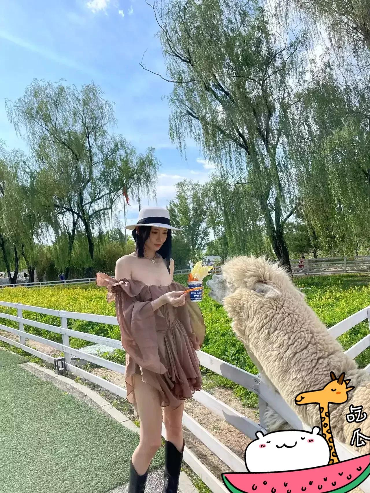 ���׷�����¼� ����һ��������������