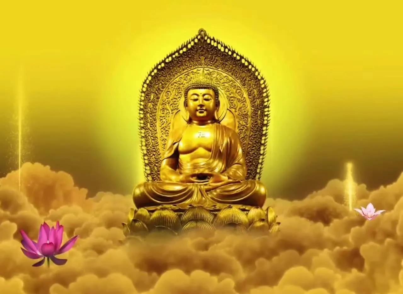 ���������������������� �������ʲô��˼