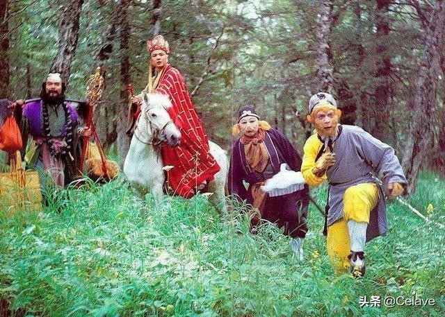 ���������������ʵ��������� ���μ��ﱻ������������⨺�