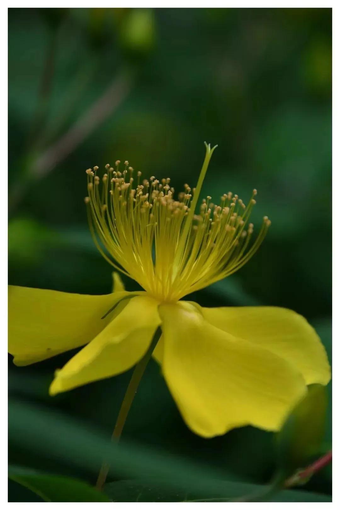 �¹ڷ��׺���֢����Щ֢״ �������죬֢״���ڸ�ð