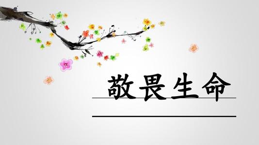 ����ʲôʱ����ܳ��׽��� ��������֮ǰ��ʷ�ϵ��������߲��