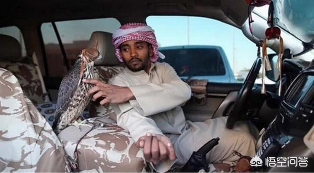 �ϰ�Ϊʲô��ô��Ǯ ��ص�ʯ���Լ���ص���ʯ