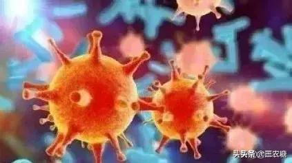 �����ʱ�ܳ��׽��� ϣ�������������ȥ