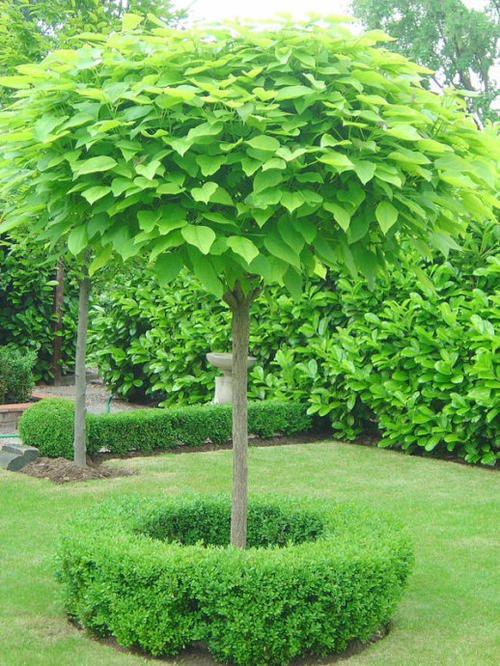 ���������� ��ʱ���绹û�ж���