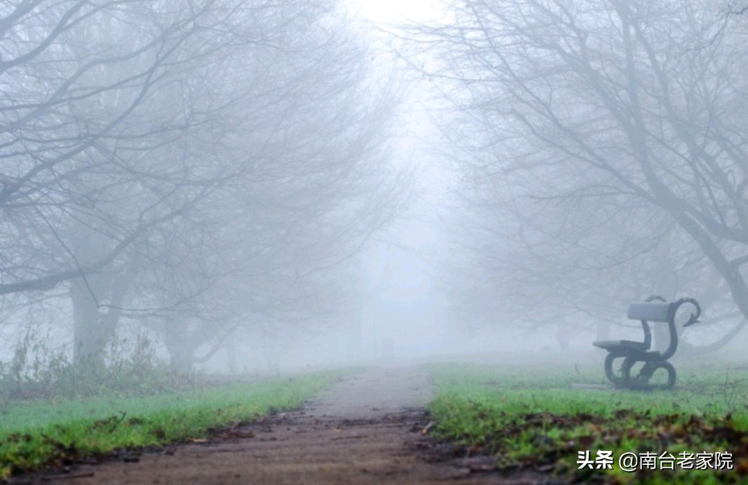 ����ʲôʱ����ܳ��׽��� ���������ݷ����θ����������Ӱ��