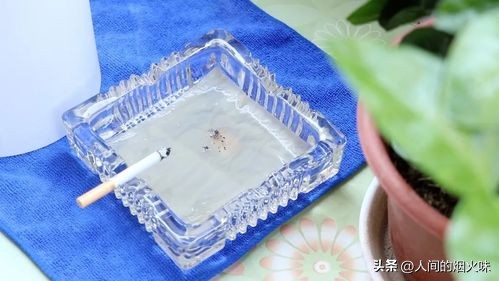 �̻Ҹ���Ϊʲô���ܵ�ˮ�������� �����������˷ǳ��������ԭ��