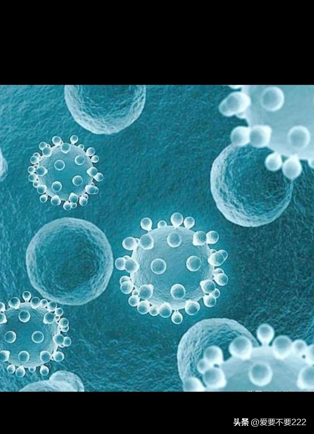 �¹ڷ��׺���֢�ж���� ÿ���˵����ʲ�һ��