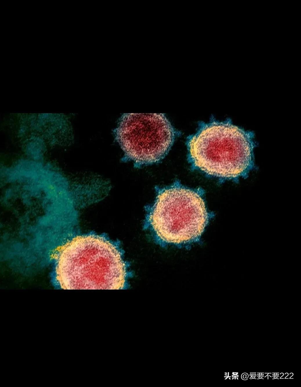 �¹ڷ��׺���֢�ж���� ÿ���˵����ʲ�һ��