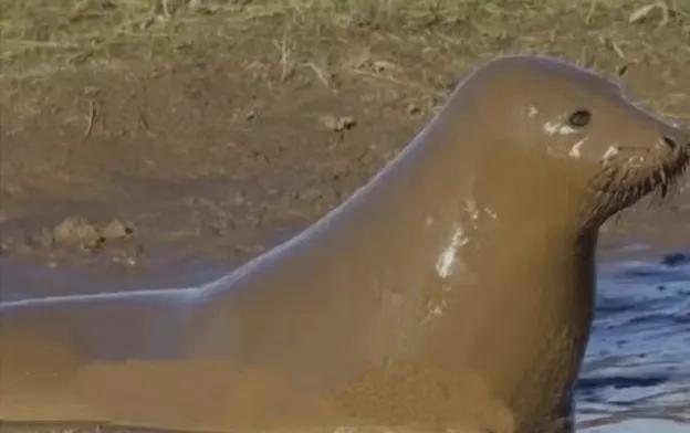 ���׷�Ϊʲô���� ����������ʵ������֤