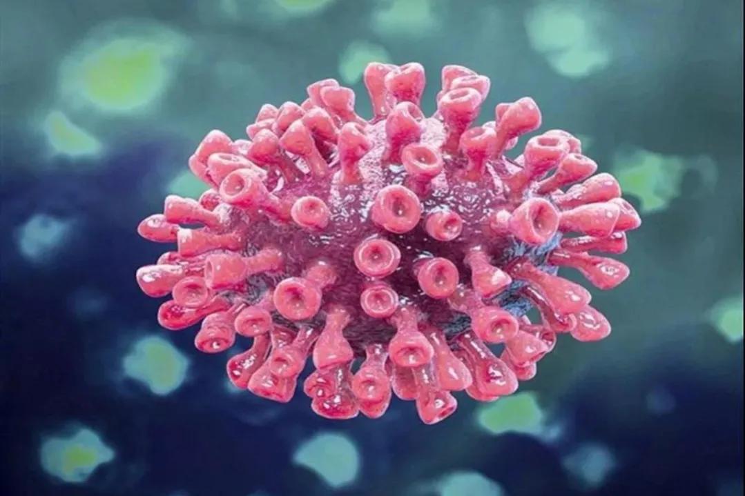 �¹��������֢������ ����֢���Դ���