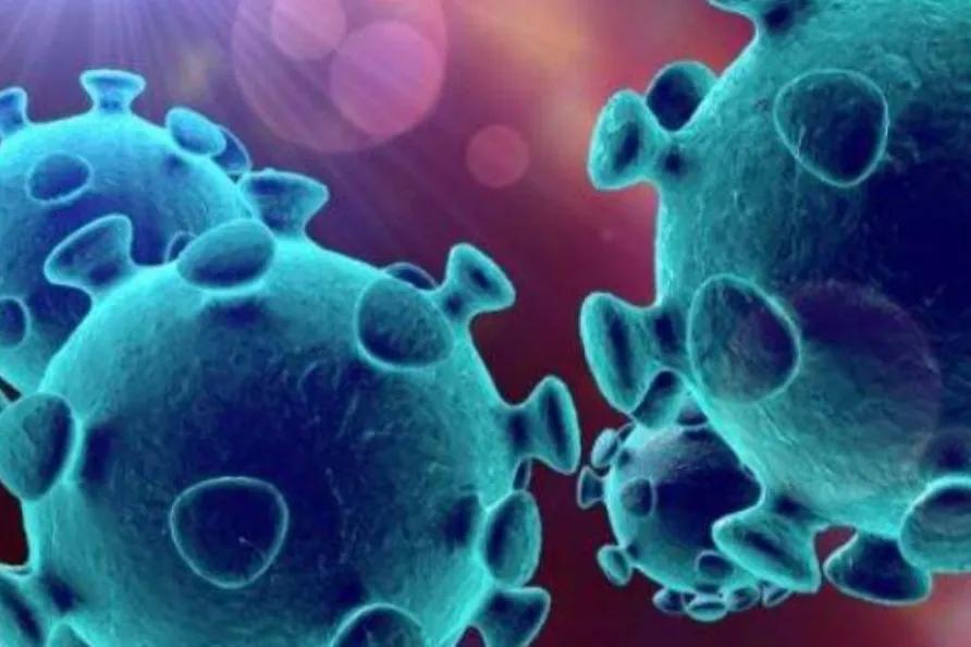 �¹��������֢������ ����֢���Դ���