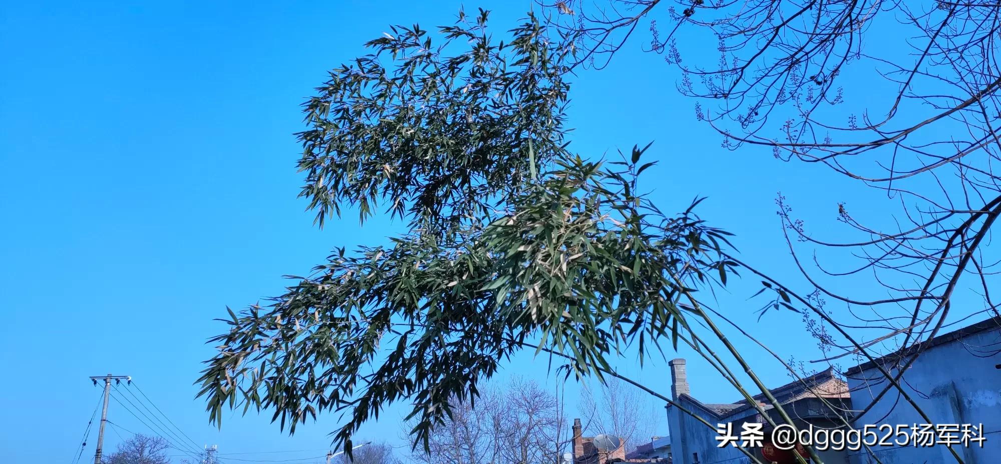 ���������� �������೤ʱ���ܽ���