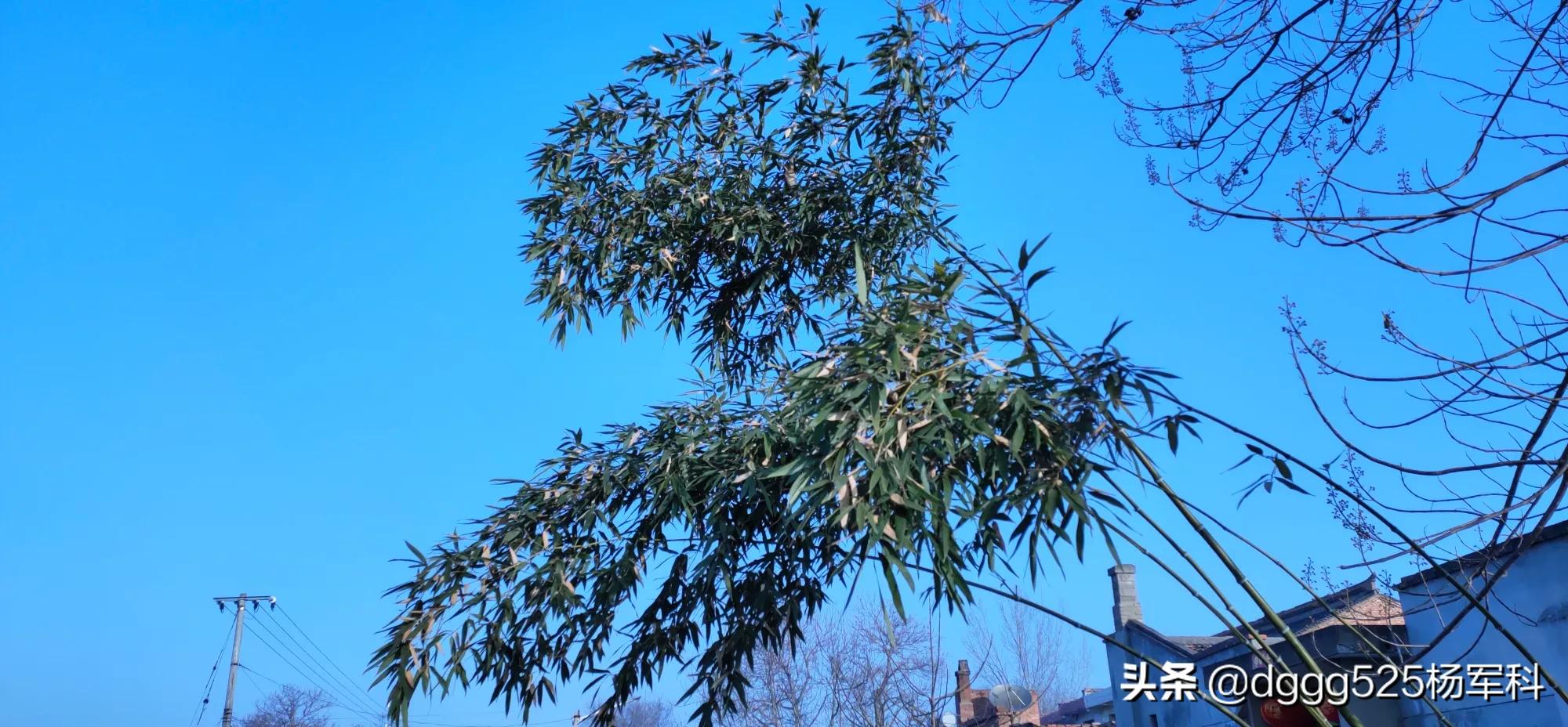 ���������� �������೤ʱ���ܽ���