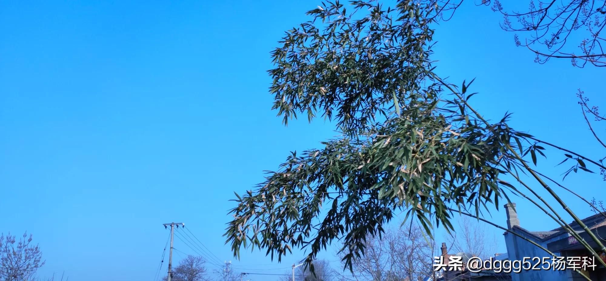 ���������� �������೤ʱ���ܽ���