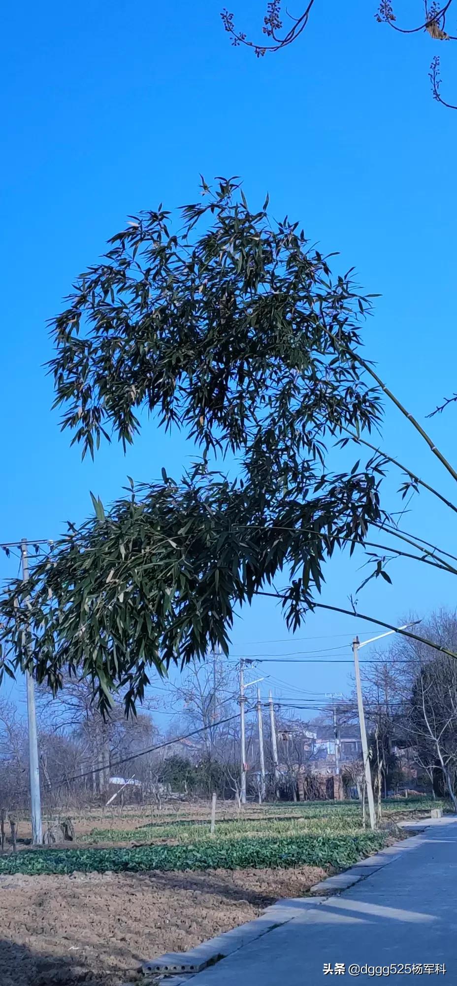 ���������� �������೤ʱ���ܽ���