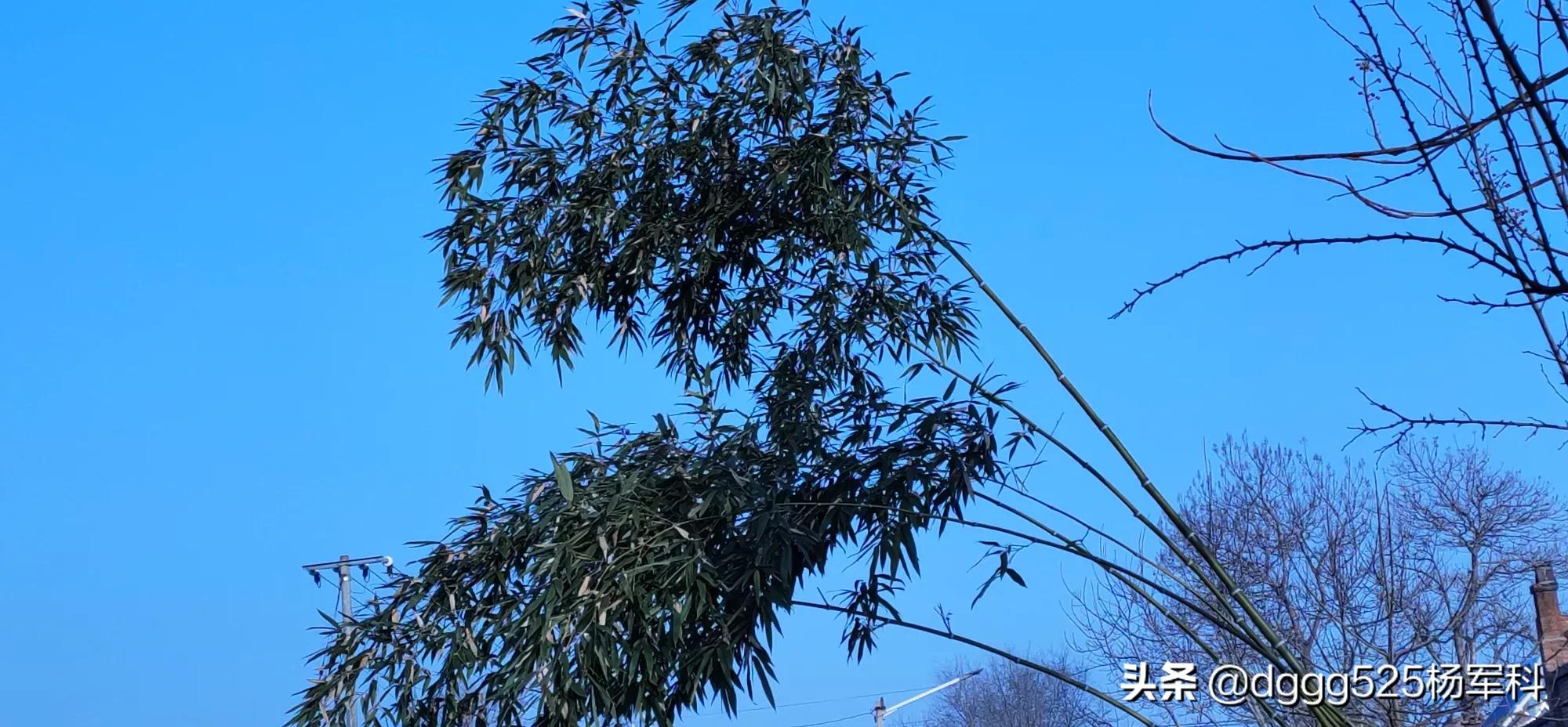 ���������� �������೤ʱ���ܽ���