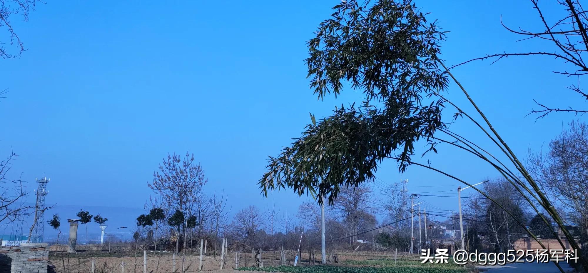 ���������� �������೤ʱ���ܽ���