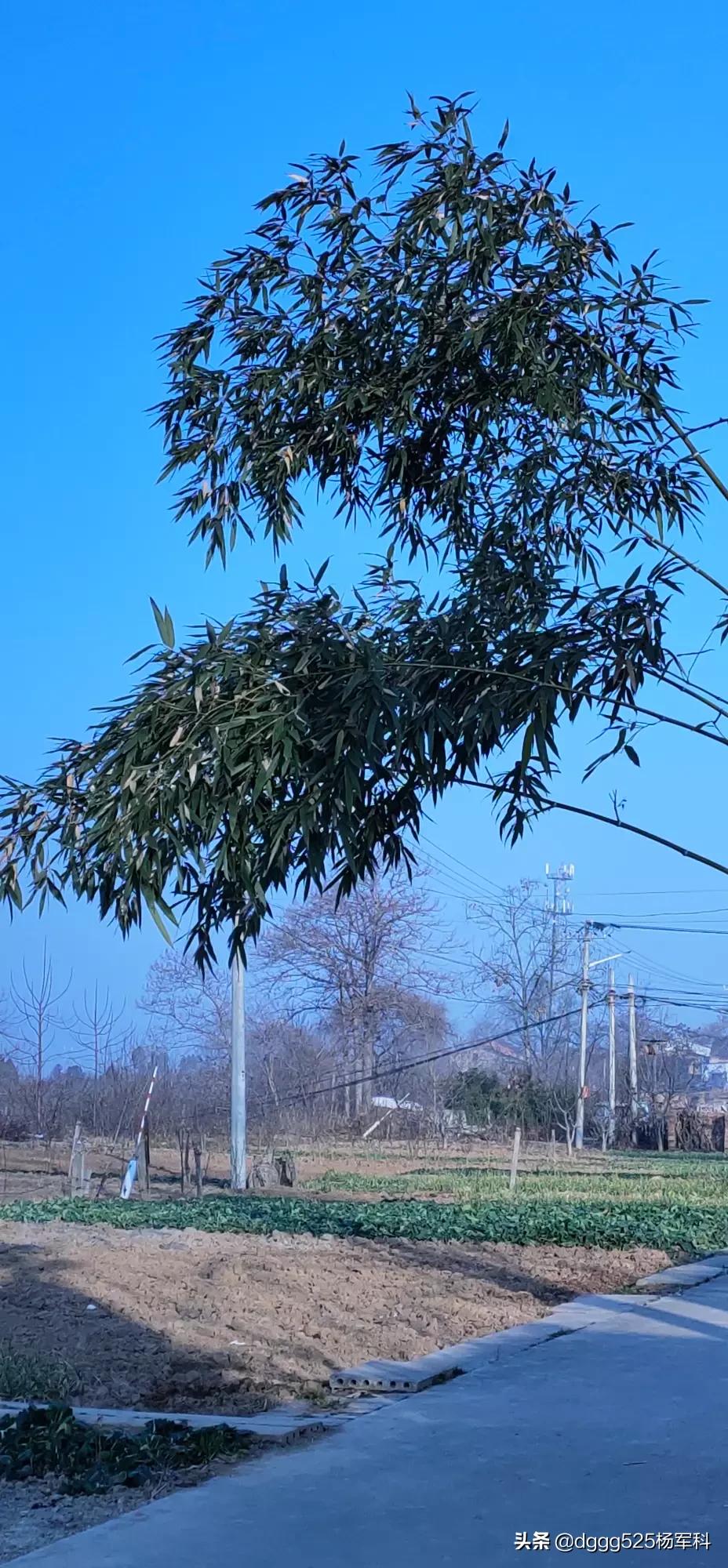 ���������� �������೤ʱ���ܽ���