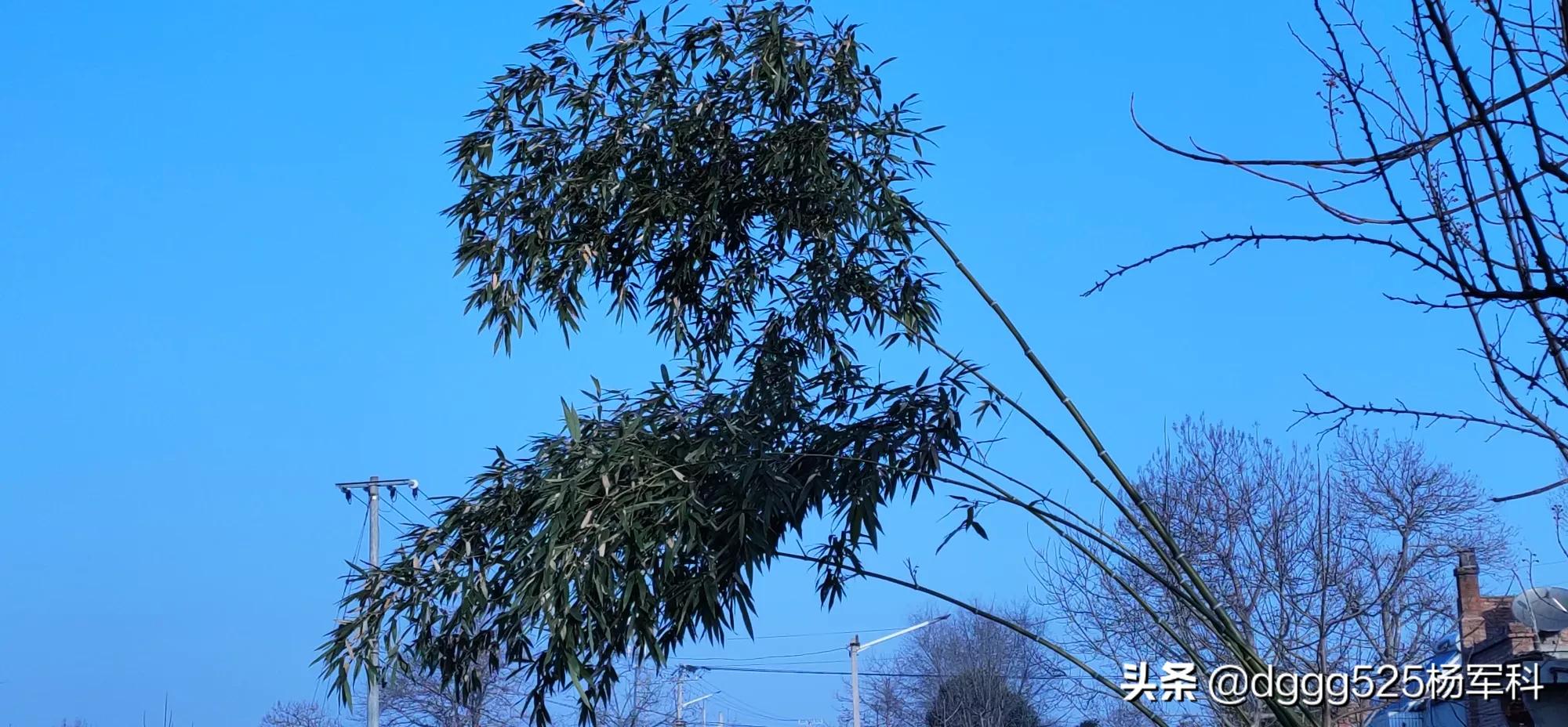 ���������� �������೤ʱ���ܽ���