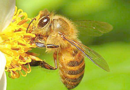 ������ϼ򵥽��� �����Ҫ��������Щ