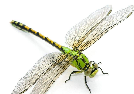 ������ϼ򵥽��� �����Ҫ��������Щ