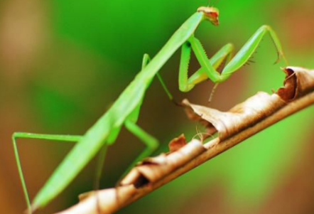 ������ϼ򵥽��� �����Ҫ��������Щ