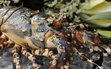 ��ϺͼƬ ��ͬ���������Լ�����Ϻ����