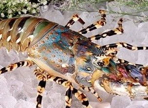 ��ϺͼƬ ��ͬ���������Լ�����Ϻ����