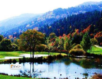 �й�����ĵط� ����Ĵ��˰�����´��Ƭ������