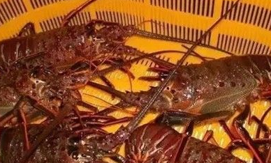 ��ϺͼƬ ��ͬ���������Լ�����Ϻ����