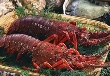 ��ϺͼƬ ��ͬ���������Լ�����Ϻ����