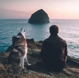 �۵�ͼƬ �ܻ���ƣ��������ʱ��