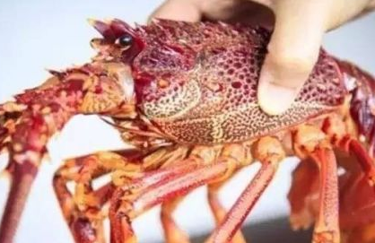 ��ϺͼƬ ��ͬ���������Լ�����Ϻ����