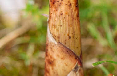 �����˲��˶������ ���˷������˺�����