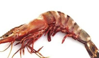 ��ϺͼƬ ��ͬ���������Լ�����Ϻ����